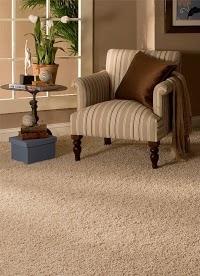 Carpet Cleaning Services 350072 Image 5